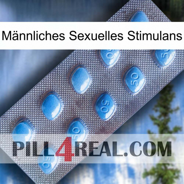 Männliches Sexuelles Stimulans viagra3.jpg